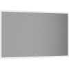 вижион1